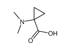 1-(Dimethylamino)cyclopropanecarboxylic acid structure