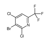 3-Bromo-2,4-dichloro-6-(trifluoromethyl)pyridine Structure