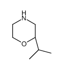 (S)-2-ISOPROPYLMORPHOLINE Structure