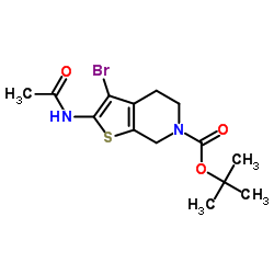 2-Methyl-2-propanyl 2-acetamido-3-bromo-4,7-dihydrothieno[2,3-c]pyridine-6(5H)-carboxylate结构式