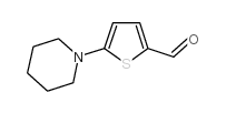 5-(1-哌啶基)噻吩-2-甲醛图片