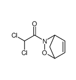2-Oxa-3-azabicyclo[2.2.1]hept-5-ene, 3-(dichloroacetyl)- (9CI) Structure