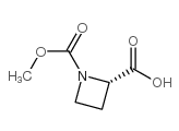 1,2-Azetidinedicarboxylicacid,1-methylester,(2S)-(9CI)结构式