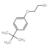 1-(2-Bromoethoxy)-4-(tert-butyl)benzene picture