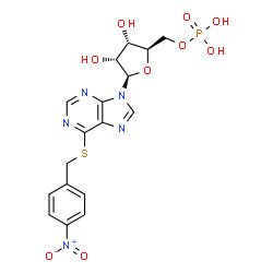 nitrobenzylthioinosine 5'-monophosphate picture