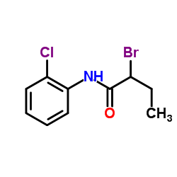 2-Bromo-N-(2-chlorophenyl)butanamide Structure