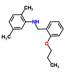 2,5-Dimethyl-N-(2-propoxybenzyl)aniline Structure