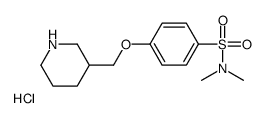 N,N-dimethyl-4-(piperidin-3-ylmethoxy)benzenesulfonamide hydrochloride Structure