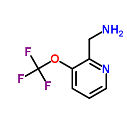 3-(Trifluoromethoxy)-2-pyridineMethanamine picture