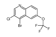 4-Bromo-3-chloro-6-trifluoromethoxyquinoline picture