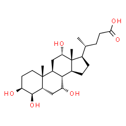 3b,4b,7a,12a-Tetrahydroxy-5b-cholanoic acid picture