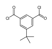 5-tert-butylbenzene-1,3-dicarbonyl chloride Structure