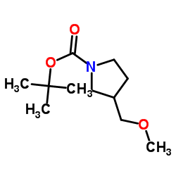 2-Methyl-2-propanyl 3-(methoxymethyl)-1-pyrrolidinecarboxylate structure