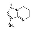 1,5,6,7-tetrahydropyrazolo[1,5-a]pyrimidin-3-amine Structure