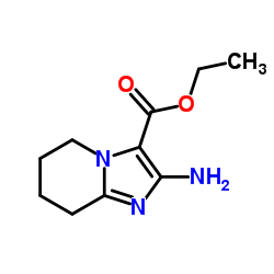 Ethyl 2-amino-5,6,7,8-tetrahydroimidazo[1,2-a]pyridine-3-carboxylate结构式