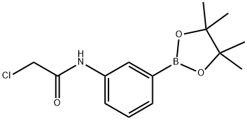 2-chloro-N-[3-(4,4,5,5-tetramethyl-1,3,2-dioxaborolan-2-yl)phenyl]acetamide picture