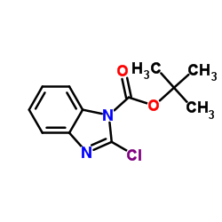 2-氯-1H-苯并[d]咪唑-1-羧酸叔丁酯结构式