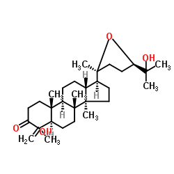 shoreic acid picture