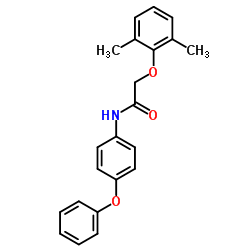 2-(2,6-Dimethylphenoxy)-N-(4-phenoxyphenyl)acetamide结构式