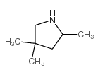 2,4,4-三甲基吡咯烷结构式