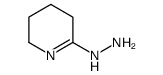 2,3,4,5-tetrahydropyridin-6-ylhydrazine Structure