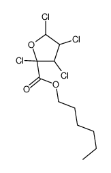 hexyl 2,3,4,5-tetrachlorooxolane-2-carboxylate结构式