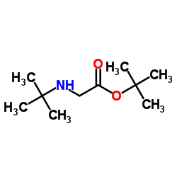 tert-butyl 2-(tert-butylamino)acetate Structure