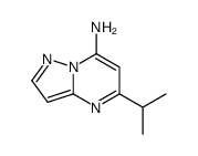 5-propan-2-ylpyrazolo[1,5-a]pyrimidin-7-amine Structure