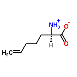 (R)-2-Aminohept-6-enoic acid hydrochloride salt Structure