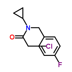 2-Chloro-N-cyclopropyl-N-(4-fluorobenzyl)acetamide图片