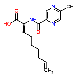 (S)-2-(5-methylpyrazine-2-carboxamido)non-8-enoic acid structure