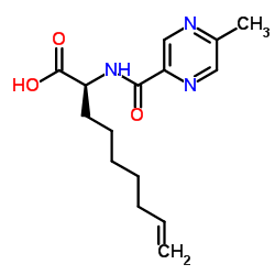 (S)-2-(5-methylpyrazine-2-carboxamido)non-8-enoic acid Structure