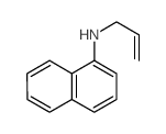 1-Naphthalenamine,N-2-propen-1-yl- structure