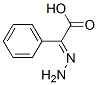 Benzeneacetic acid, alpha-hydrazono-, (E)- (9CI)结构式