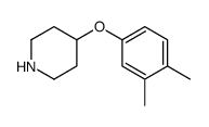 4-(3,4-dimethylphenoxy)piperidine Structure