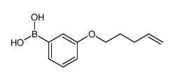 3-(pent-4-enyloxy)benzeneboronic acid Structure