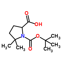 1-(叔丁氧羰基)-5,5-二甲基吡咯烷-2-羧酸图片
