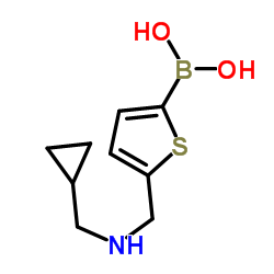 (5-{[(Cyclopropylmethyl)amino]methyl}-2-thienyl)boronic acid结构式
