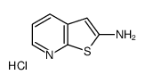 thieno[2,3-b]pyridin-2-amine hcl结构式