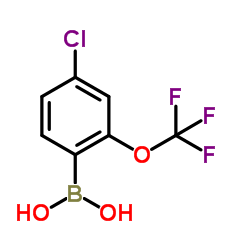 [4-Chloro-2-(trifluoromethoxy)phenyl]boronic acid结构式