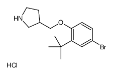 3-[(4-bromo-2-tert-butylphenoxy)methyl]pyrrolidine,hydrochloride Structure