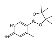 6-Amino-4-methylpyridine-3-boronic acid pinacol ester图片