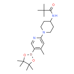 N-(1-(4-Methyl-5-(4,4,5,5-tetramethyl-1,3,2-dioxaborolan-2-yl)pyridin-2-yl)piperidin-4-yl)pivalamide结构式