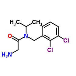N-(2,3-Dichlorobenzyl)-N-isopropylglycinamide Structure