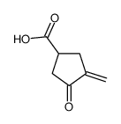 3-methylidene-4-oxocyclopentane-1-carboxylic acid Structure