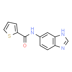 N-(3H-benzimidazol-5-yl)thiophene-2-carboxamide结构式