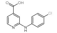 2-[(4-chlorophenyl)amino]isonicotinic acid Structure