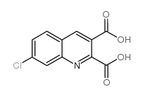 7-氯喹啉-2,3-二羧酸结构式