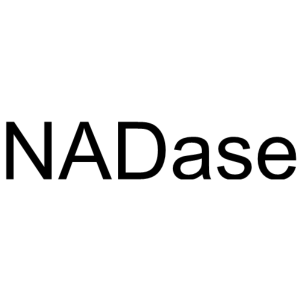 NADase structure