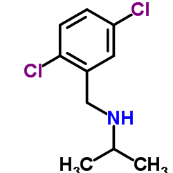 N-(2,5-Dichlorobenzyl)-2-propanamine Structure